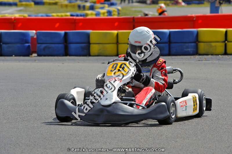 DSC_ (1401).jpg
